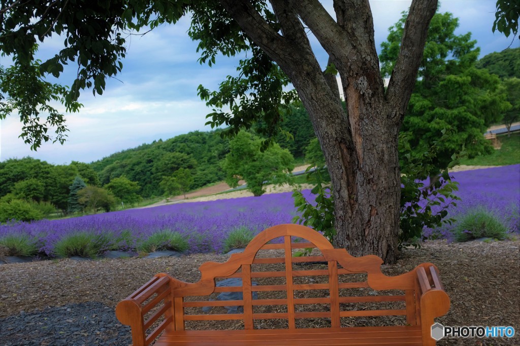 今日も暑いですね・・！