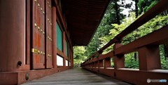 時空の路