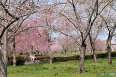 時は静かに・・