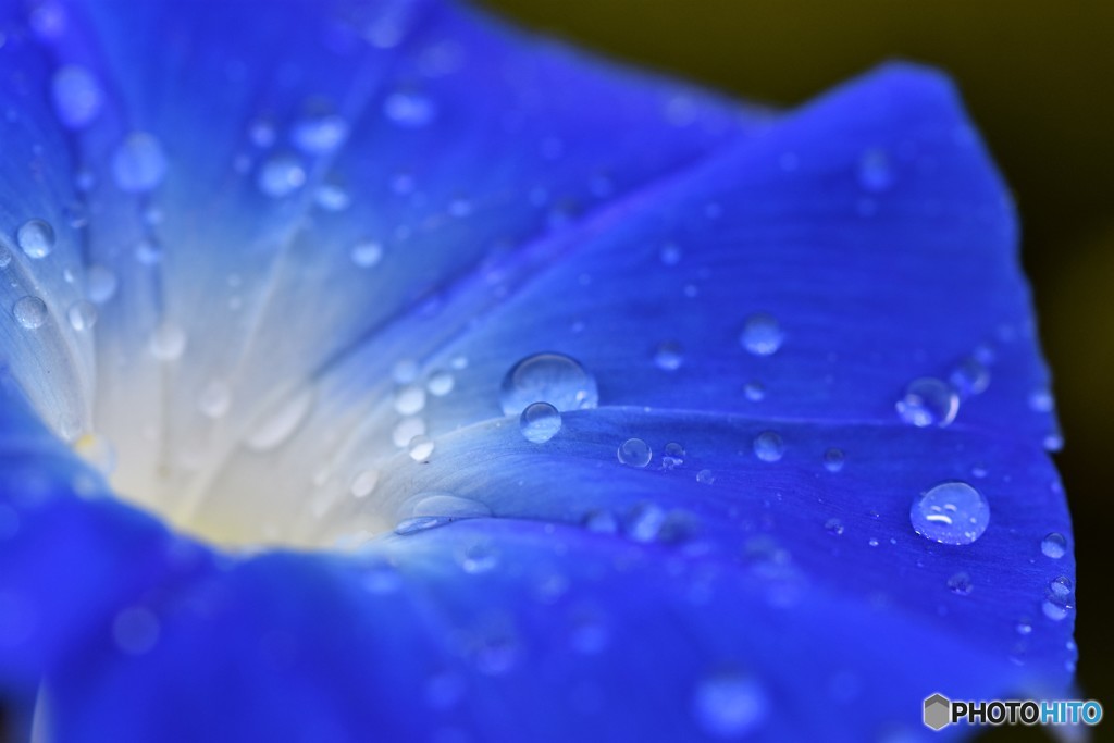 通り雨