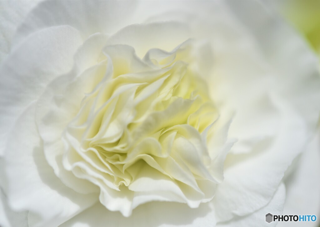 揺れる想い・・