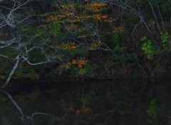 秋の夕暮れ