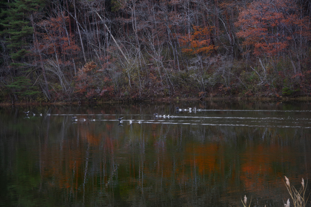 晩秋の湖畔