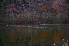 晩秋の湖畔