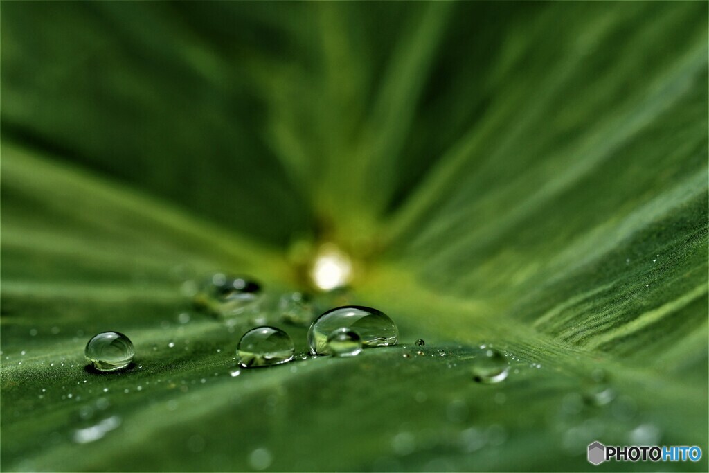 雨上がり・・