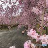 待ち合わせ・・！