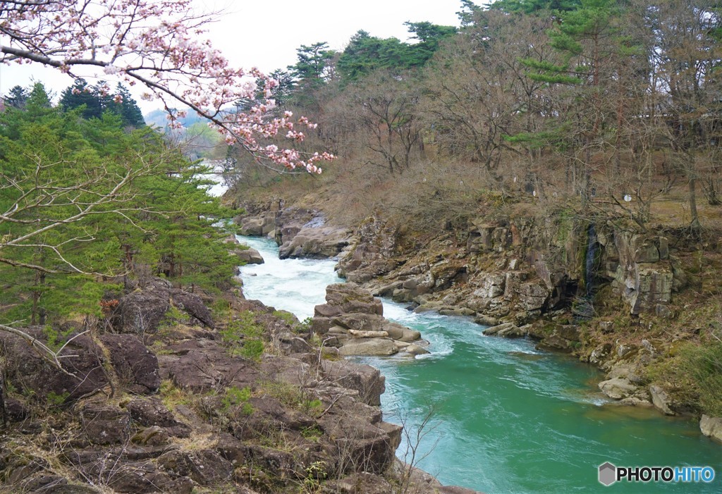 渓流の春・・