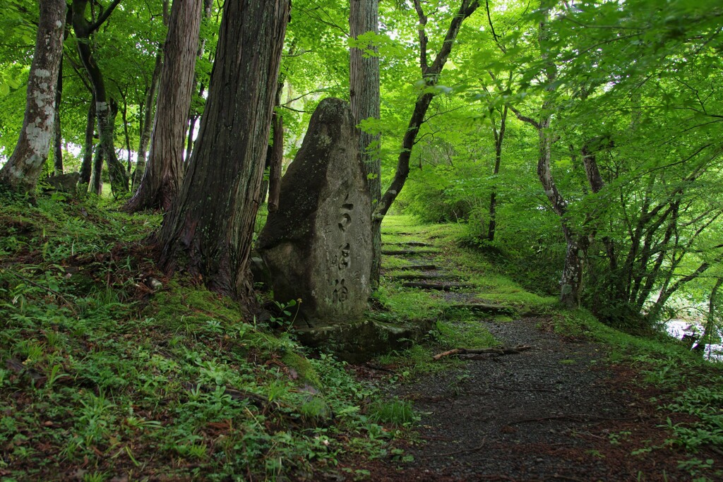 木暮の道