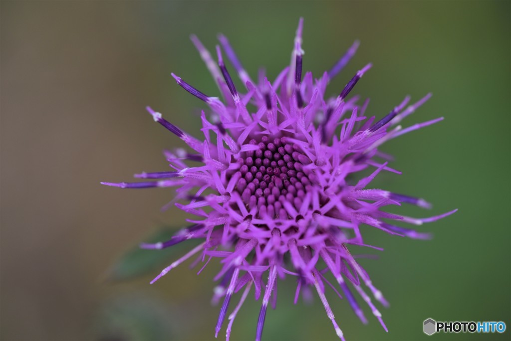 最高の笑顔で！