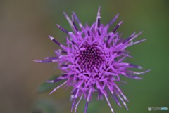 最高の笑顔で！