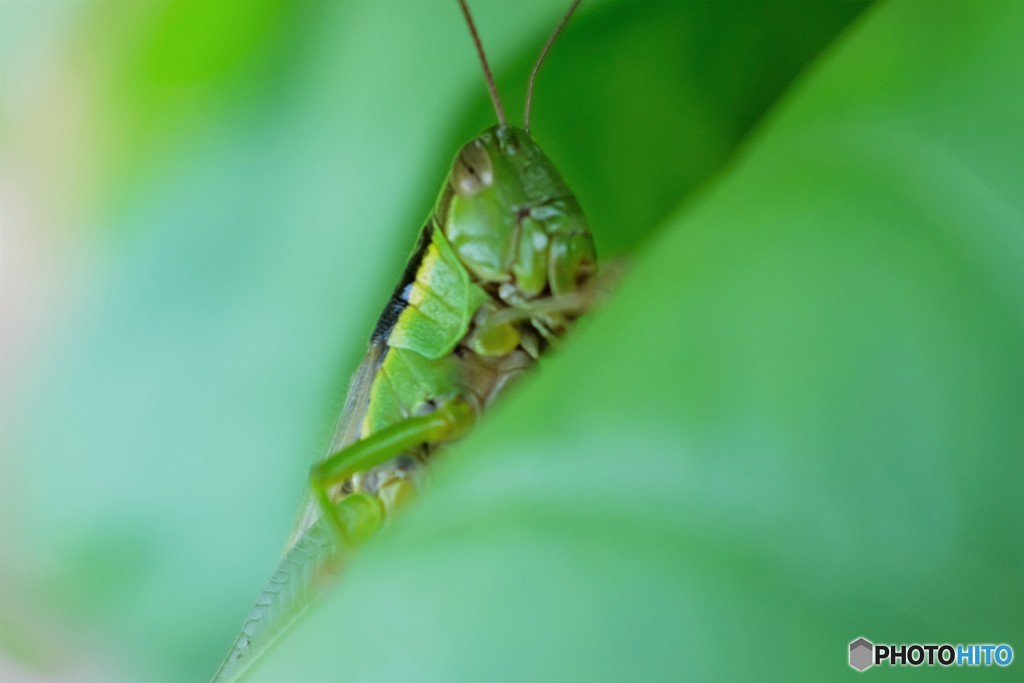居心地のいい場所！