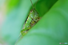 居心地のいい場所！