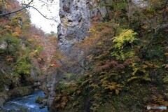 岩間で生きる・・