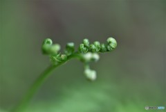明日に向かって２