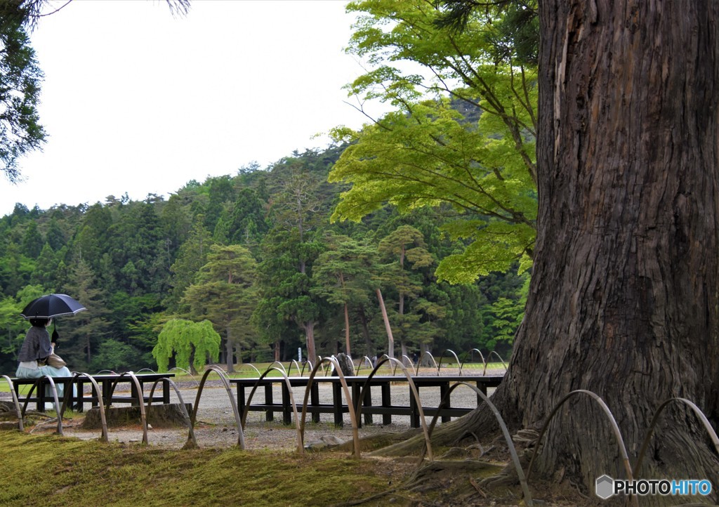 いま想うこと・・