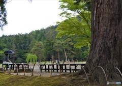 いま想うこと・・