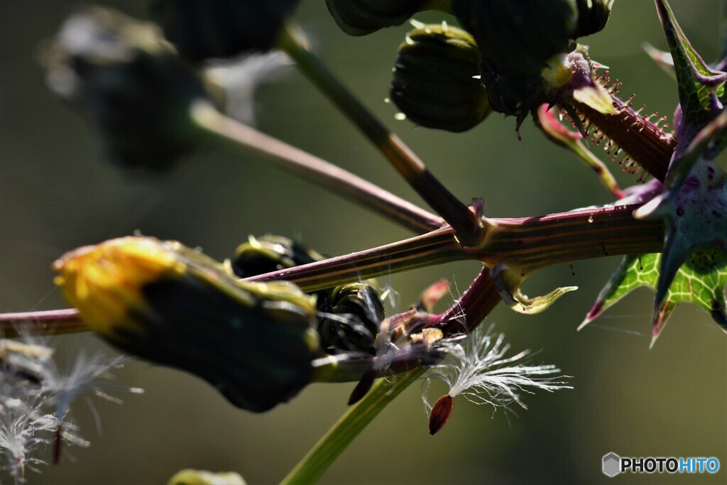 旅立ちのとき・・