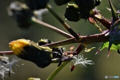 旅立ちのとき・・