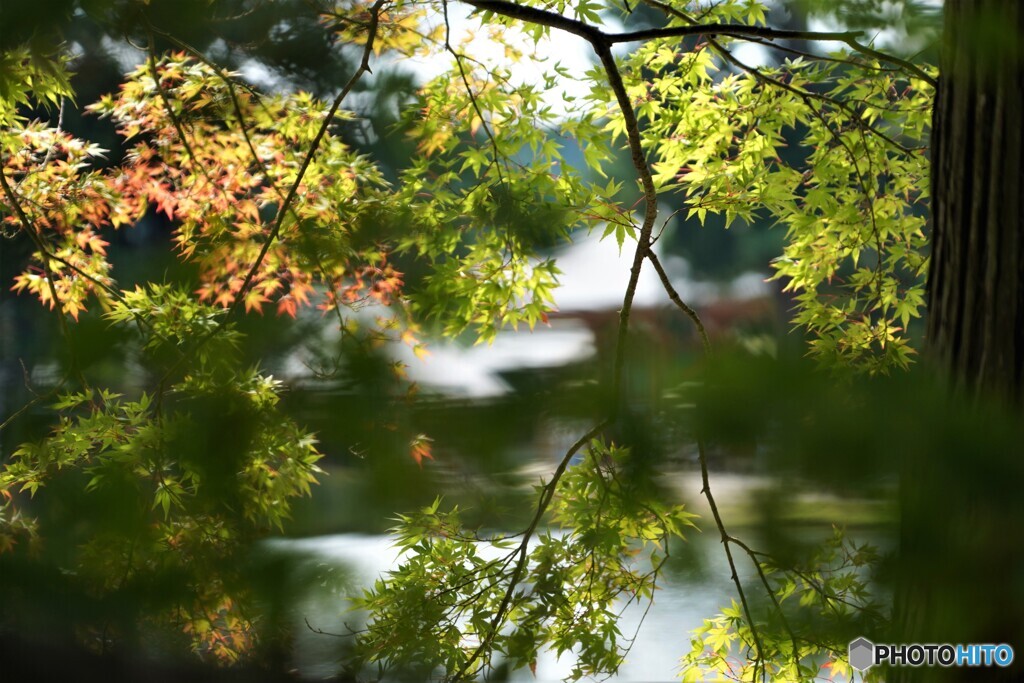 秋の気配・・！