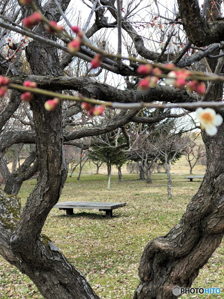 春なのに～　ため息、またひとつ・・♪