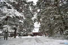 毛越寺（平泉）