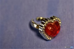 チィーちゃんの宝物