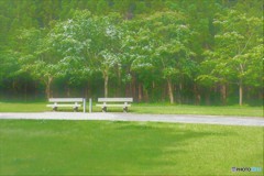 さぁ！　おはなしの続きを・・