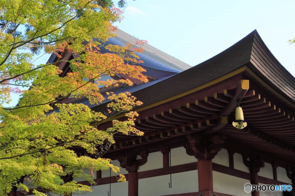 毛越寺