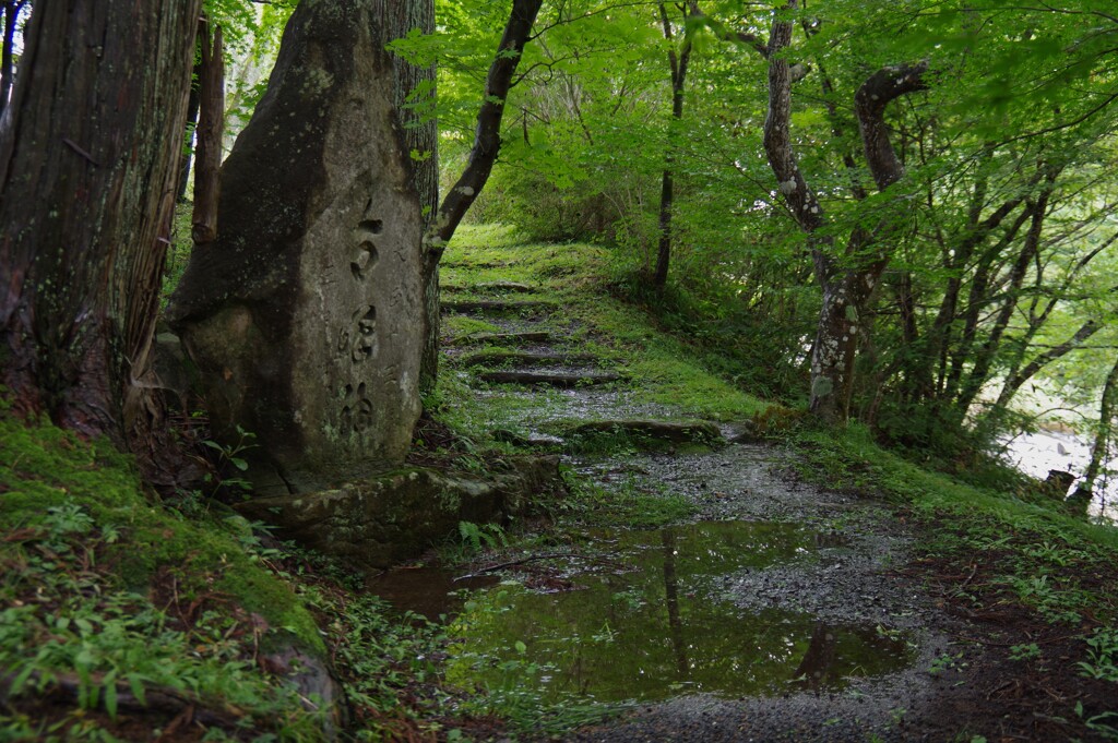 鎮守の杜に続く道