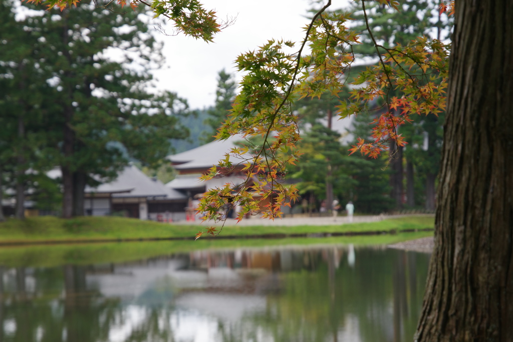 毛越寺（平泉）