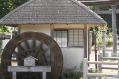 疲れちゃう・・？