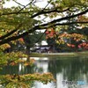 毛越寺Ⅱ