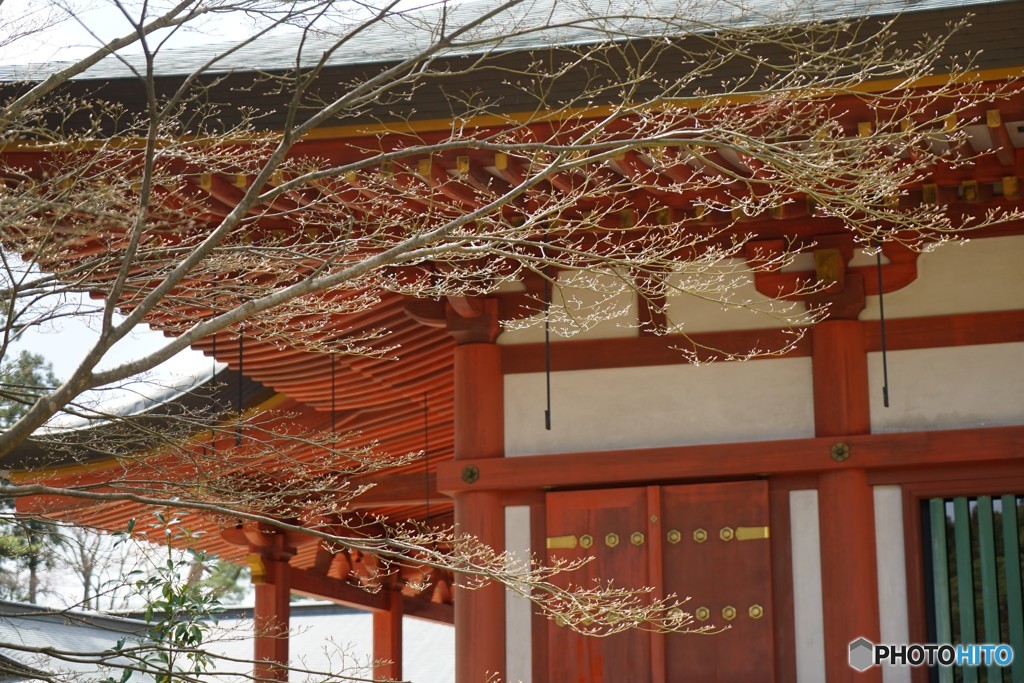 春を迎えるとき・・