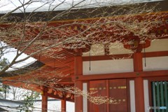 春を迎えるとき・・