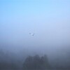 朝靄の中から・・