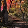 秋の夕日に