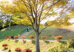 暖かな公園で