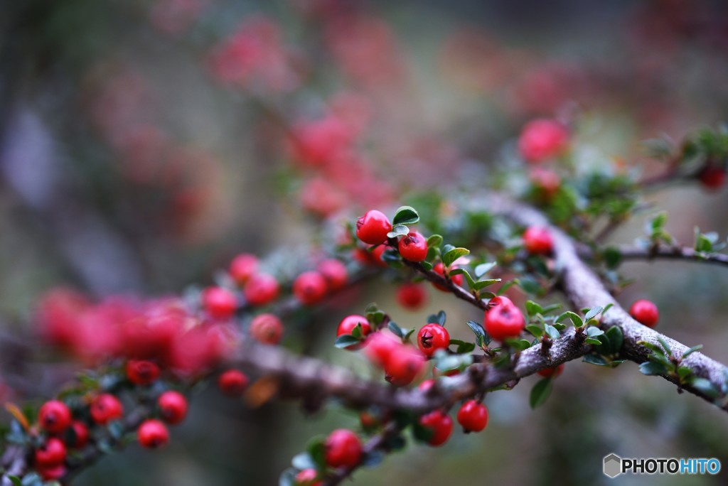 誇らしげに・・・