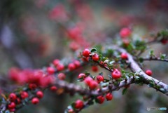 誇らしげに・・・