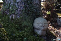もうぃぃょ・・