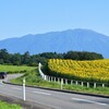 旅路