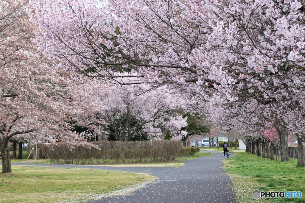 それぞれの時間・・