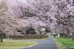 それぞれの時間・・