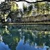 穏やかな日・・