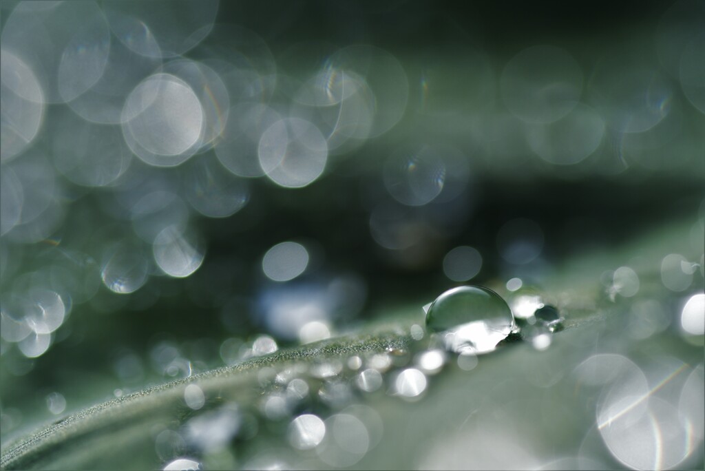 雨上がりの朝