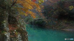 木葉　岩に落ちて歩み止め・・