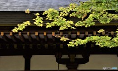 晴れ間・・