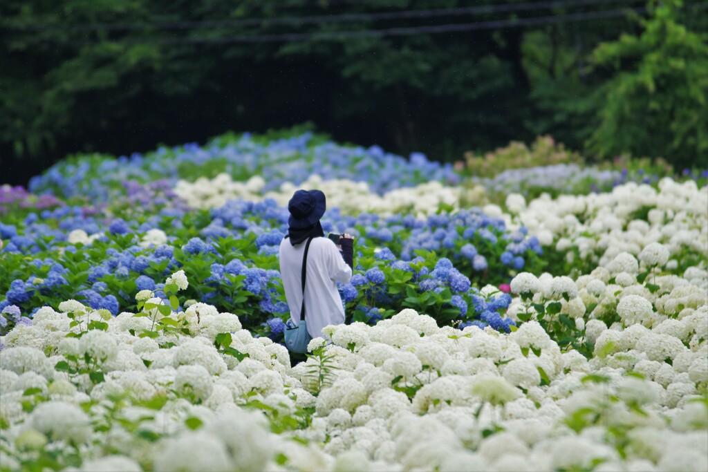 イイの撮れましたか・・！