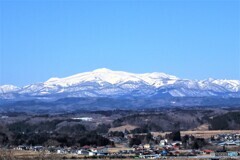 春の予感・・！