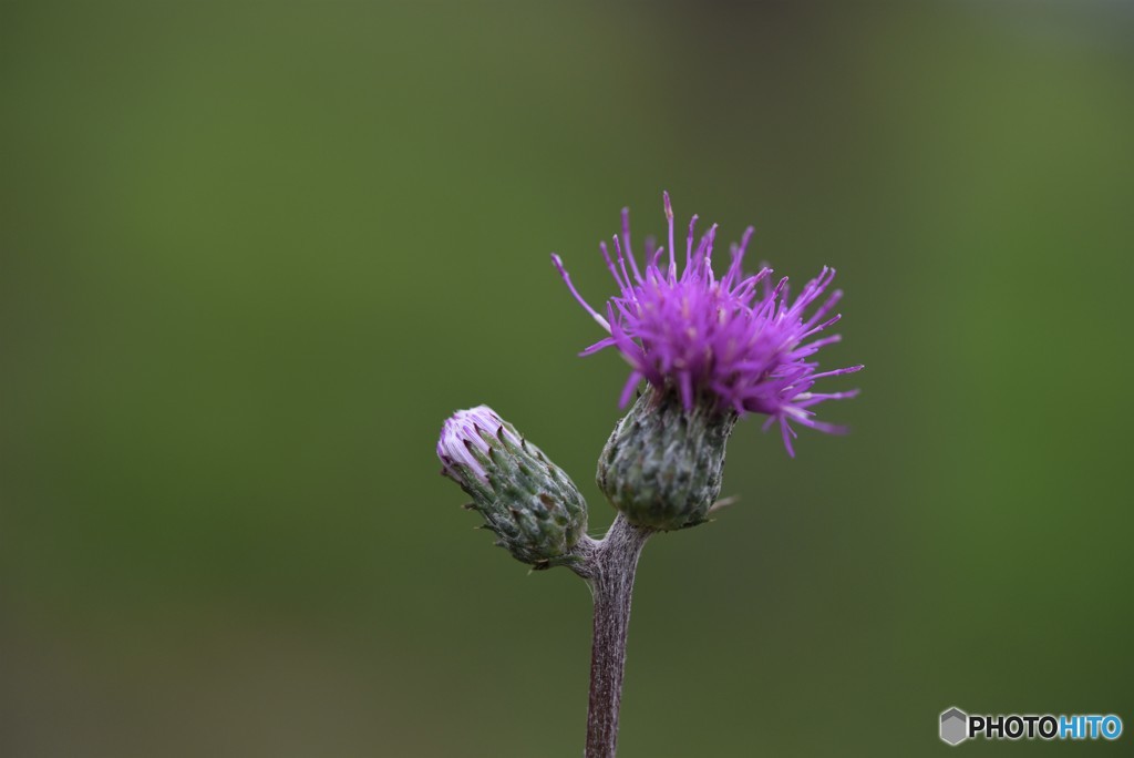 ママ・・・おんぶ！